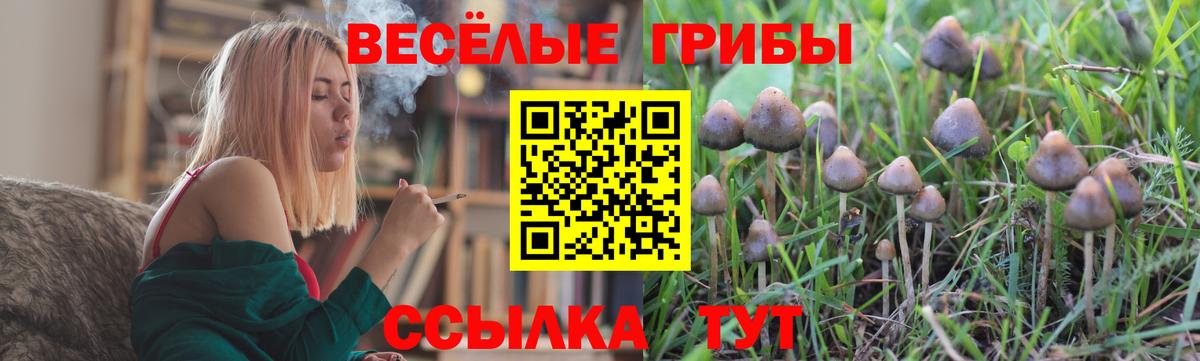 Тольятти  Псилоцибиновые грибы Psilocybe  Галлюциногенные грибы Magic Shrooms  Вход с VPN 